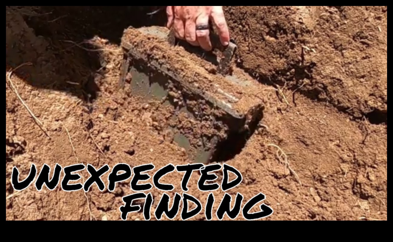 Sapă în capsula Trail Time și retrăiește-ți escapadele în aer liber. 3 Trail Time Capsule: Păstrarea amintirilor escapadelor în aer liber