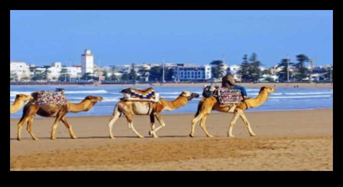 Imbarcați-vă spre excelență: Ghidul de călătorie suprem