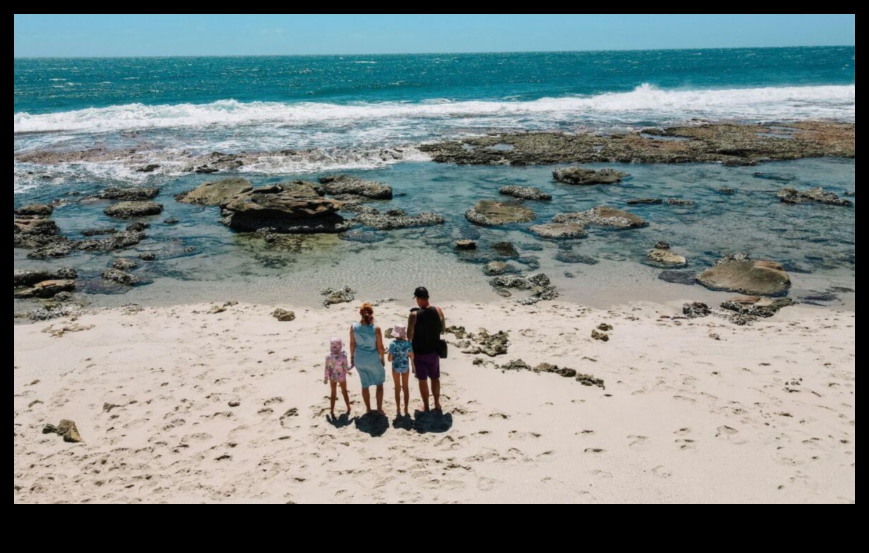 Triburi de călătorie: navigarea prin lume ca unitate de familie