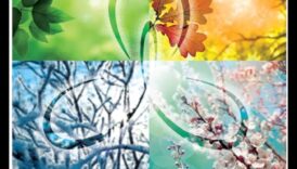 Revelații în roaming: calea unui călător către descoperirea de sine