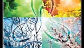 Revelații în roaming: calea unui călător către descoperirea de sine