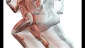 Bone Boost: Rolul exercițiilor în menținerea sănătății și densității scheletului